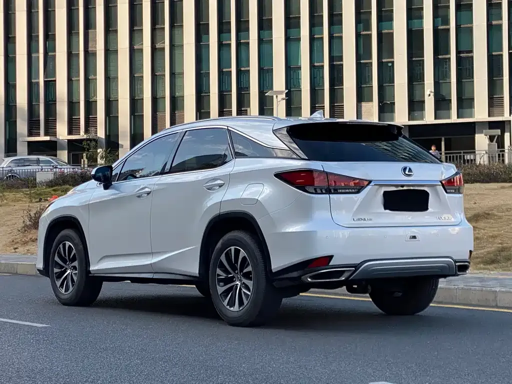 Lexus RX 2021 из CN, фото 9