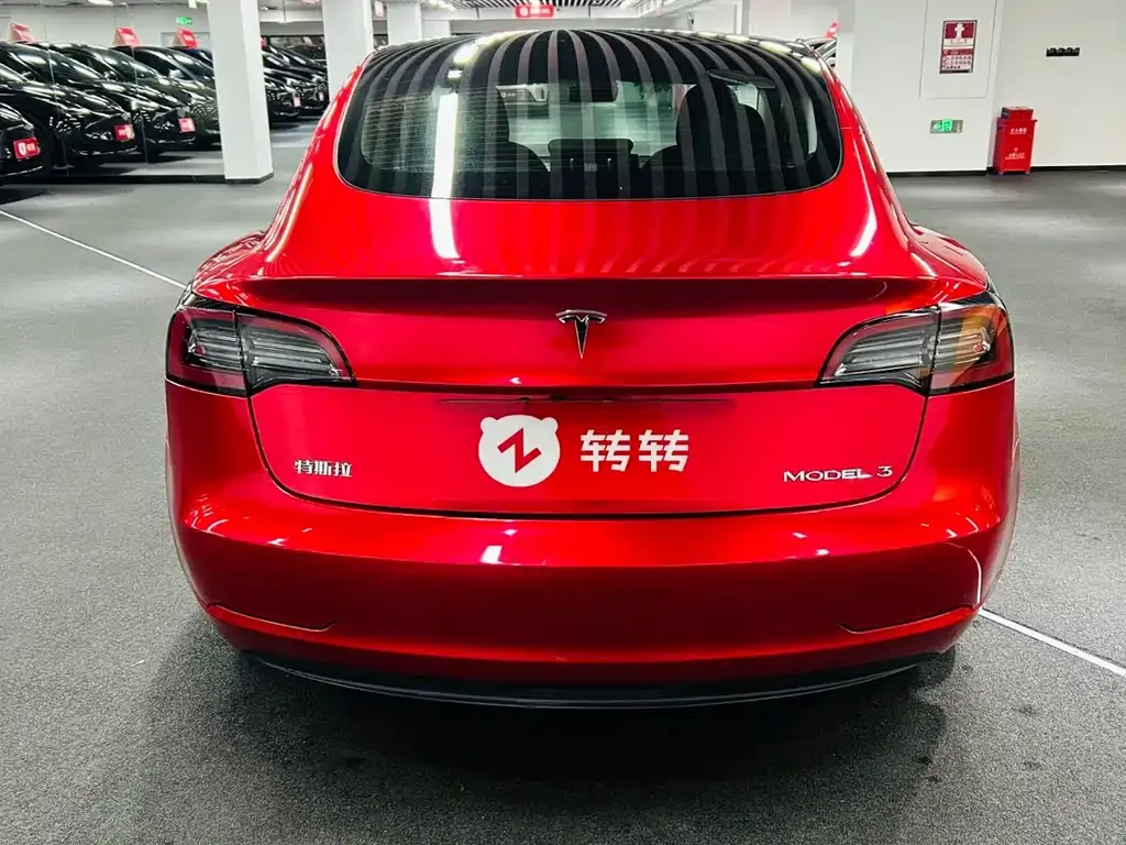 Tesla Model 3 2021 из CN, фото 6