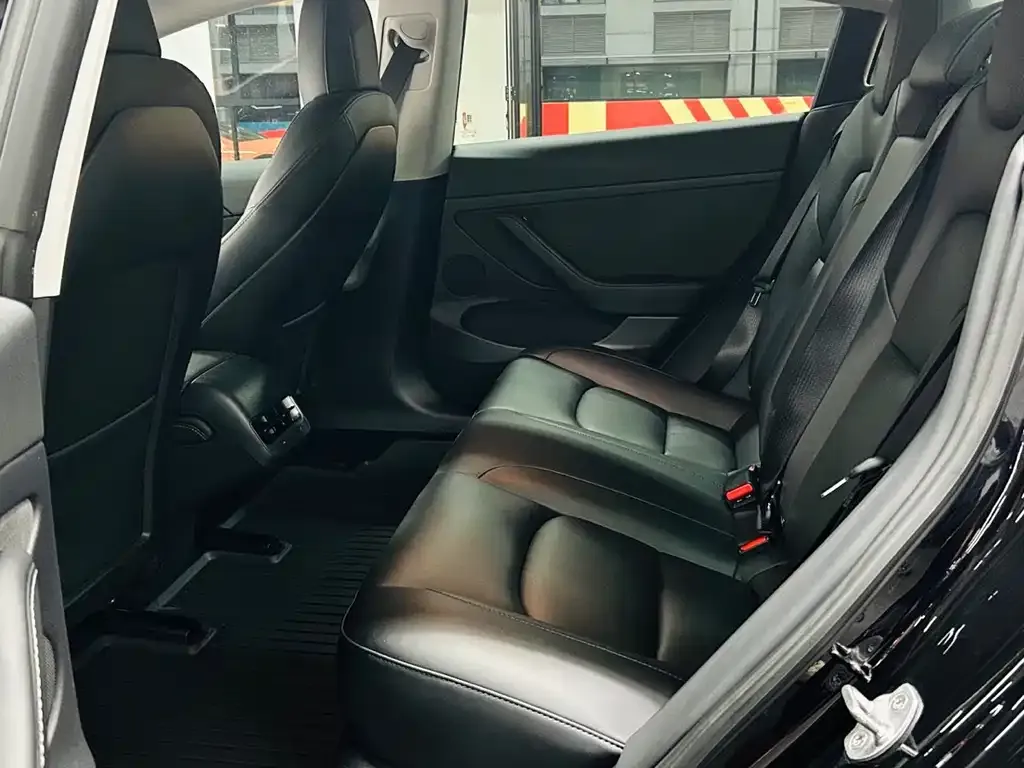Tesla Model 3 2021 из CN, фото 3