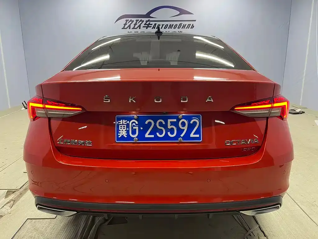 Skoda Octavia 2021 из CN, фото 6