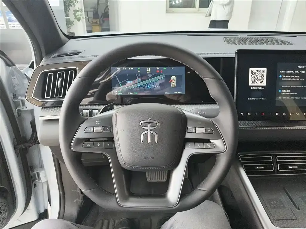 BYD Pro New Energy 2025 из CN, фото 10