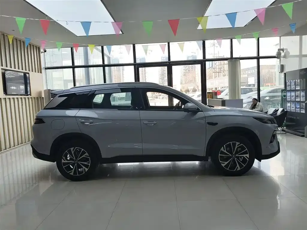 BYD Pro New Energy 2025 из CN, фото 5
