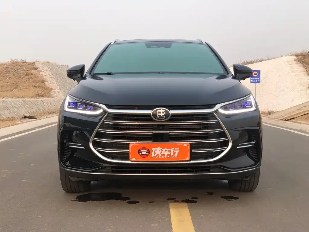 BYD Tang New Energy 2022 из CN, фото 10