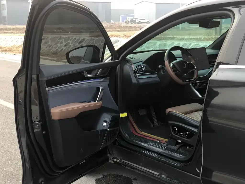 BYD Tang New Energy 2022 из CN, фото 7
