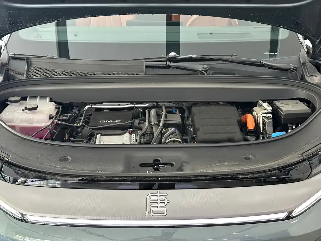 BYD Tang L 2025 из CN, фото 9