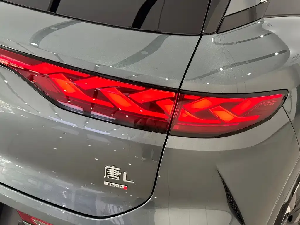BYD Tang L 2025 из CN, фото 8