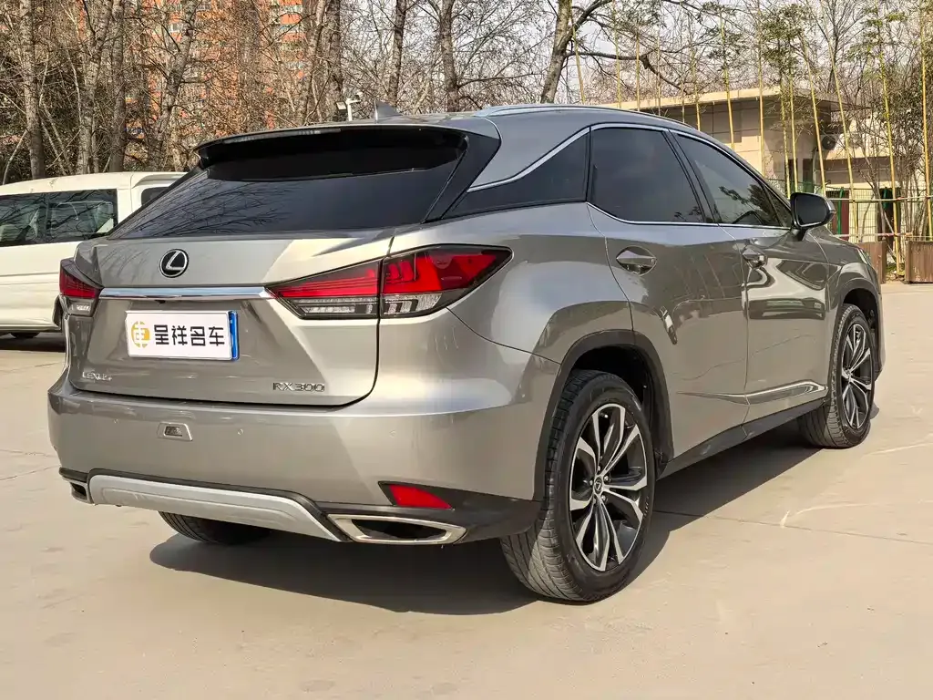 Lexus RX 2021 из CN, фото 9