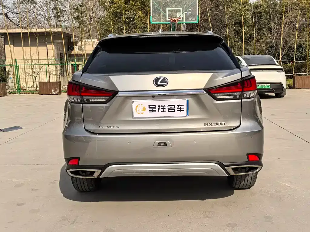 Lexus RX 2021 из CN, фото 6