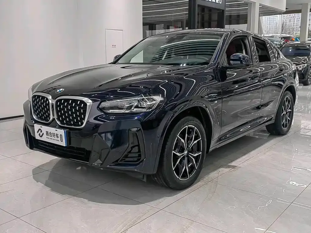 BMW X4 2022 из CN, фото 1