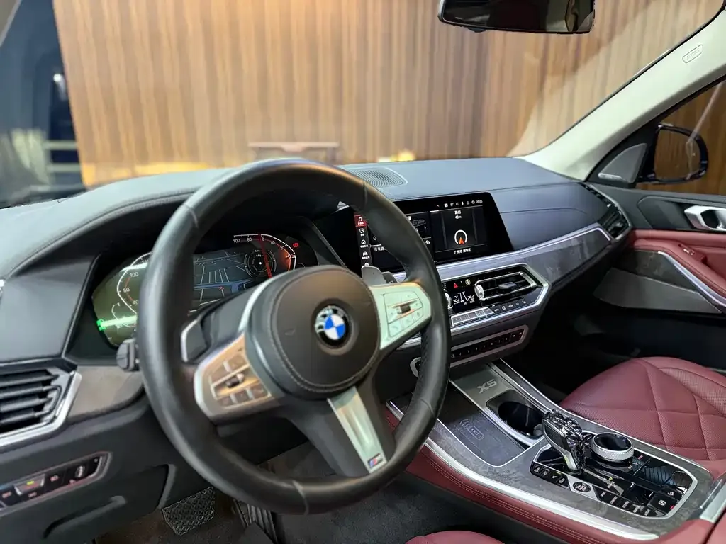 BMW X5 2022 из CN, фото 6