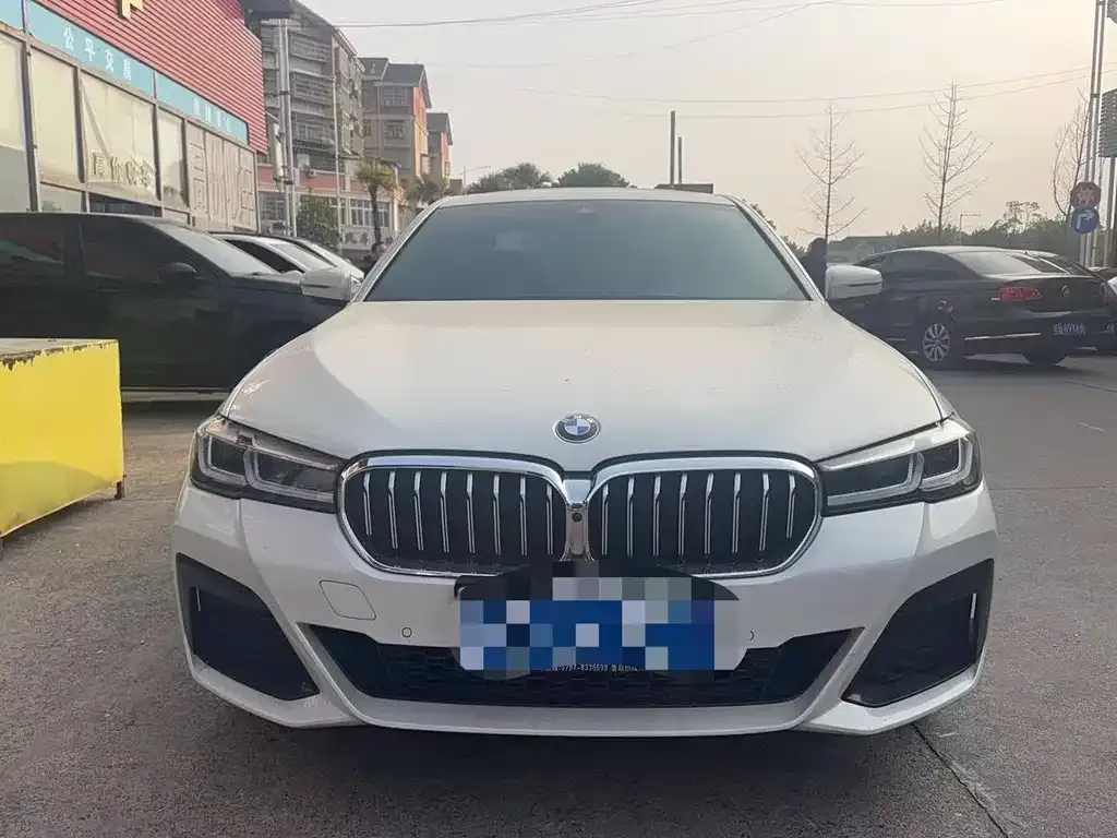 BMW 5 Series 2022 из CN, фото 1
