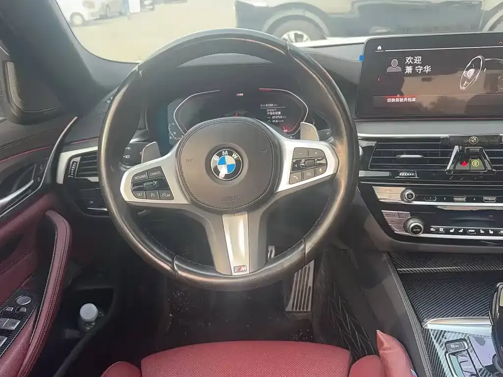 BMW 5 Series 2022 из CN, фото 6