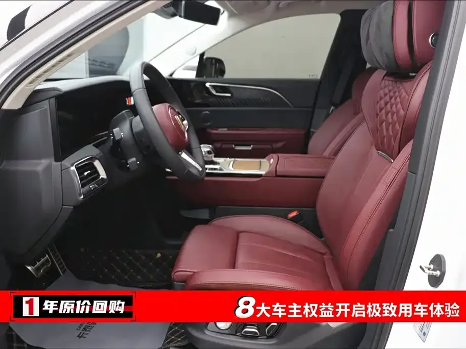 Hongqi E-HS9 2023 из CN, фото 6