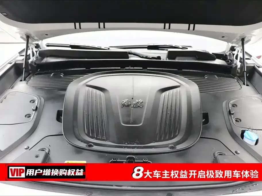 Hongqi E-HS9 2023 из CN, фото 7