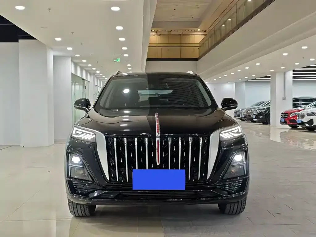 Hongqi HS5 2025 из CN, фото 5