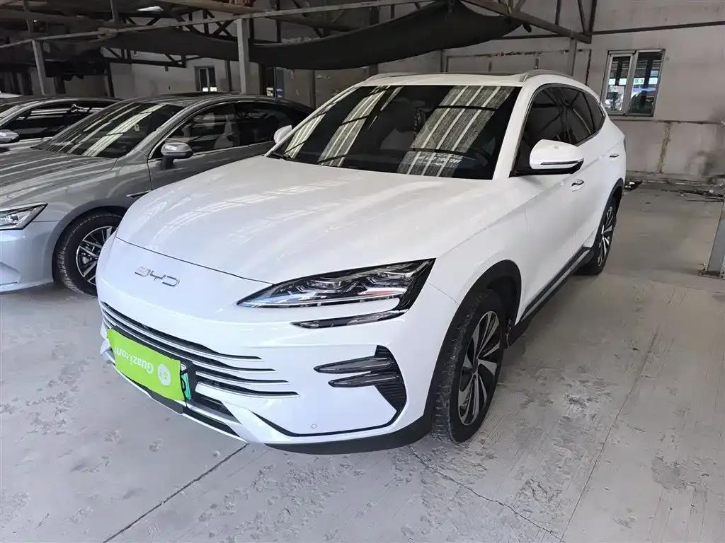BYD PLUS New Energy 2023 из CN, фото 1