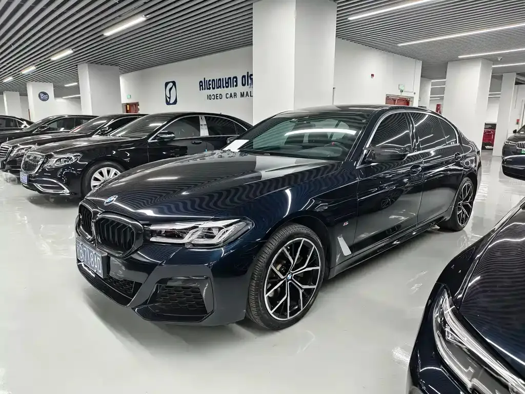 BMW 5 Series 2021 из CN, фото 1