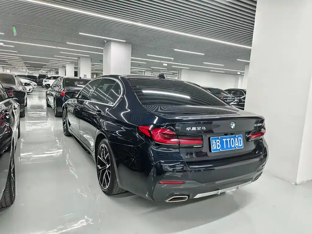 BMW 5 Series 2021 из CN, фото 6
