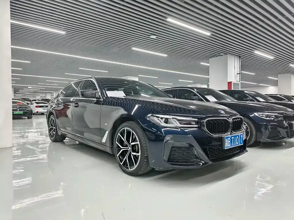 BMW 5 Series 2021 из CN, фото 8