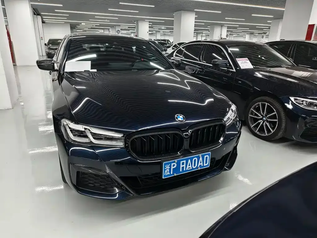 BMW 5 Series 2021 из CN, фото 3
