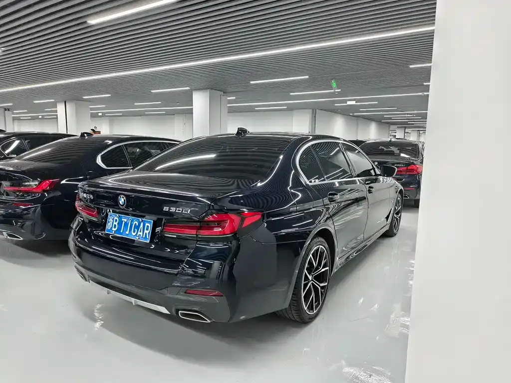 BMW 5 Series 2021 из CN, фото 5