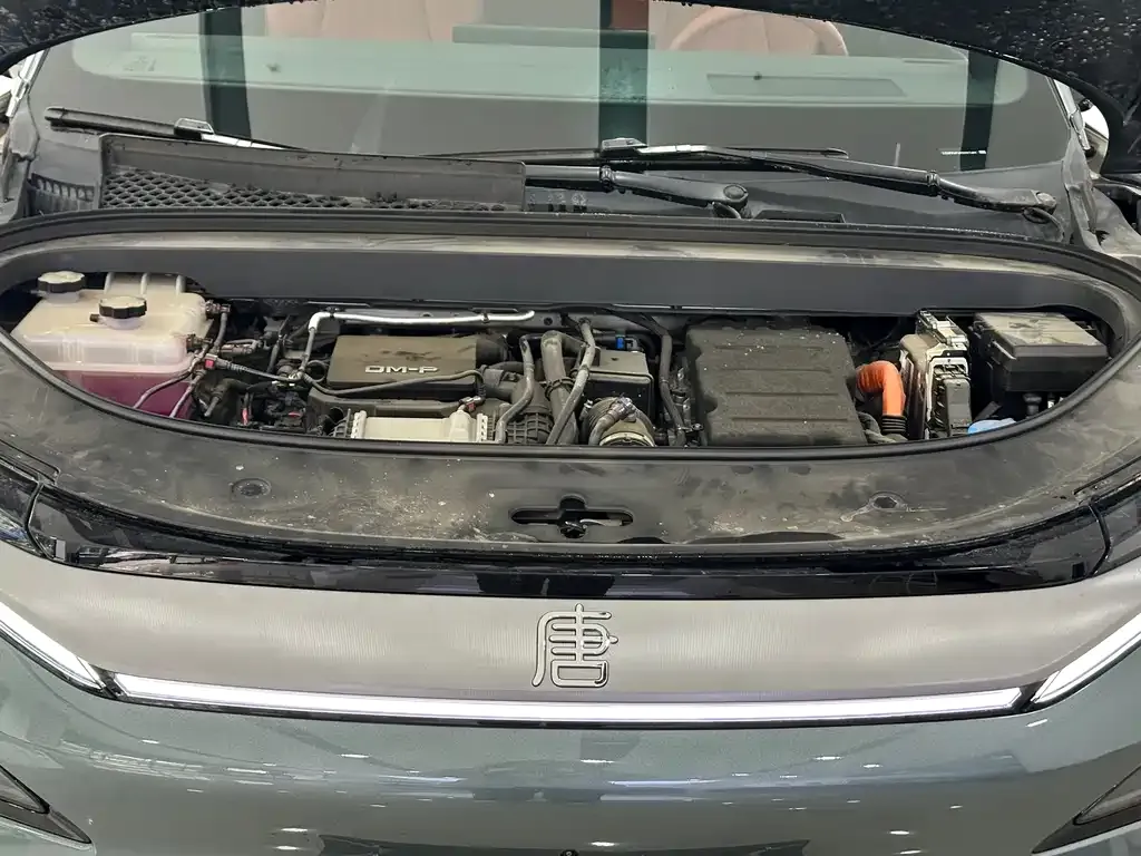 BYD Tang L 2025 из CN, фото 10