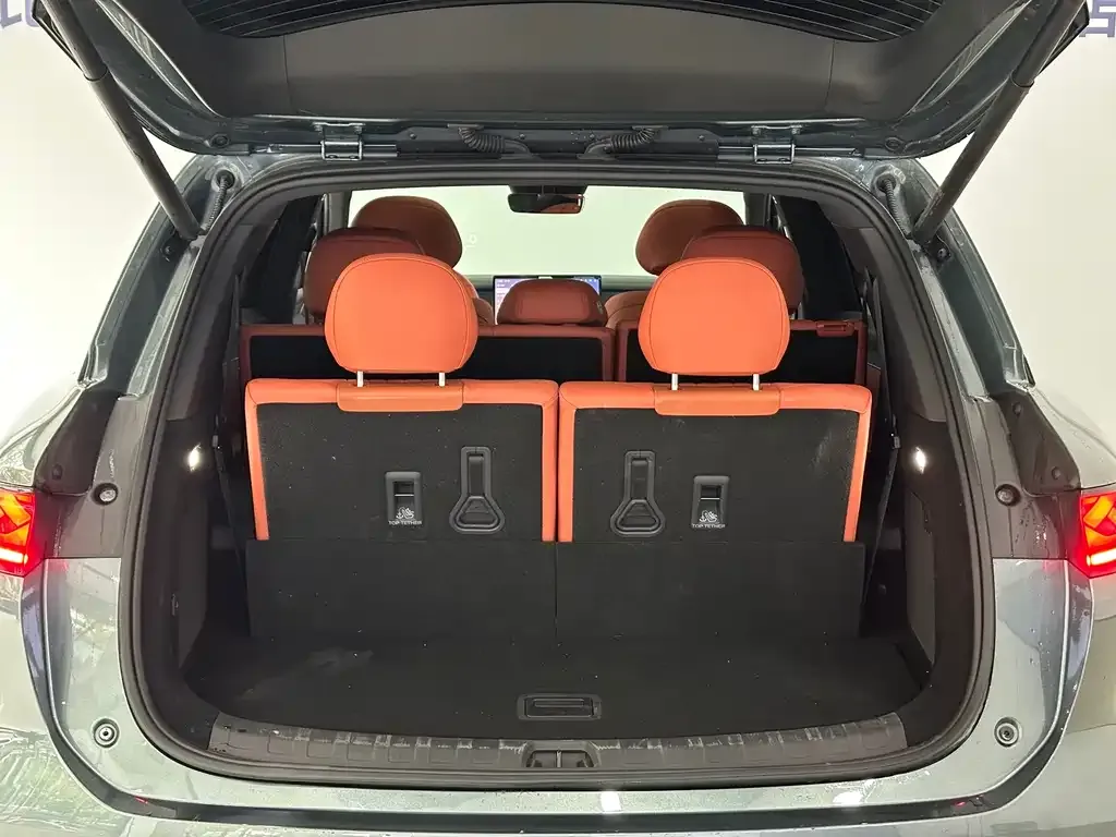 BYD Tang L 2025 из CN, фото 5