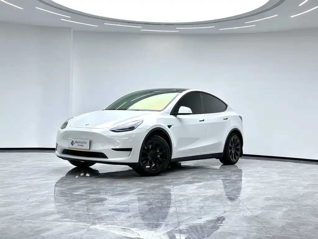 Tesla Model Y 2023 из CN, фото 1