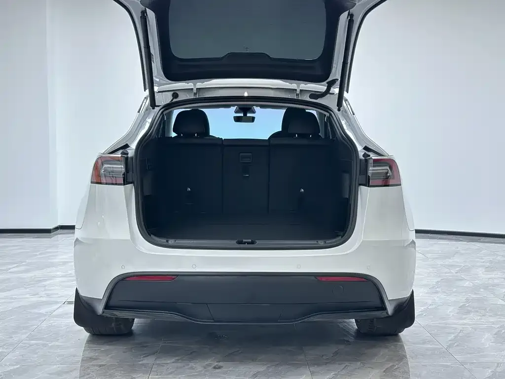 Tesla Model Y 2023 из CN, фото 10