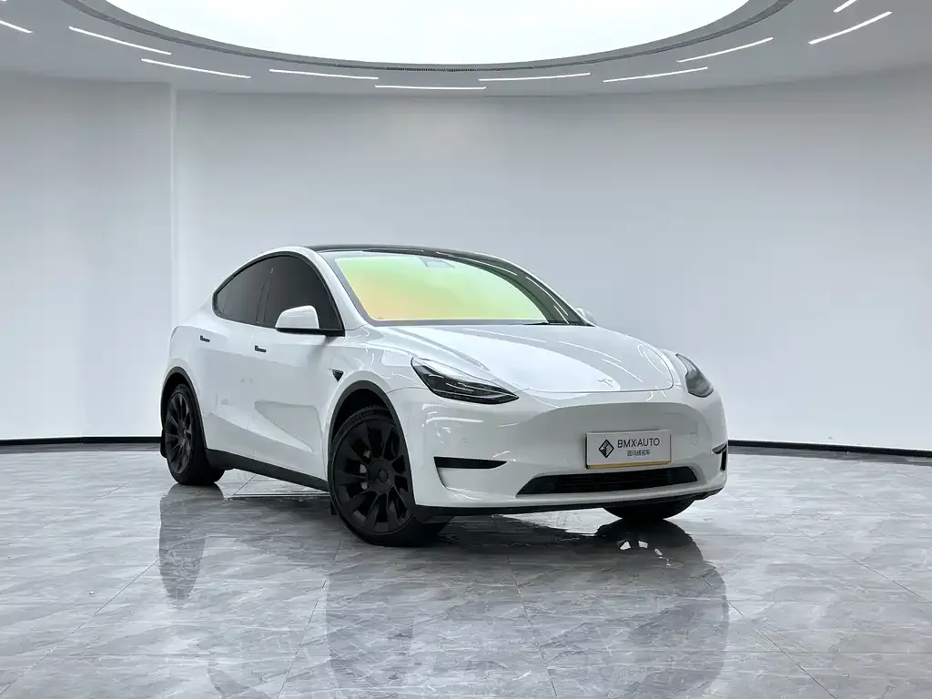 Tesla Model Y 2023 из CN, фото 4