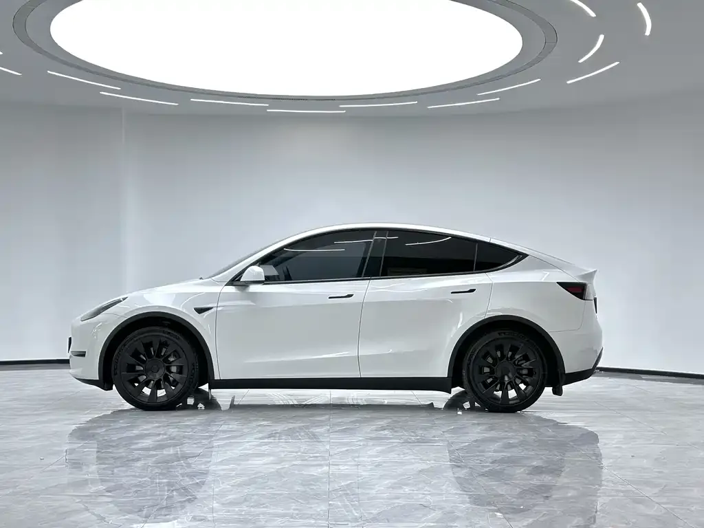 Tesla Model Y 2023 из CN, фото 8