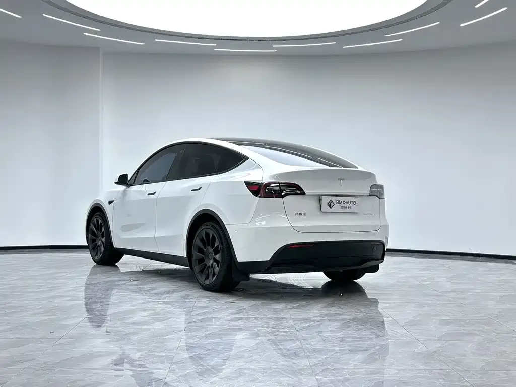 Tesla Model Y 2023 из CN, фото 9