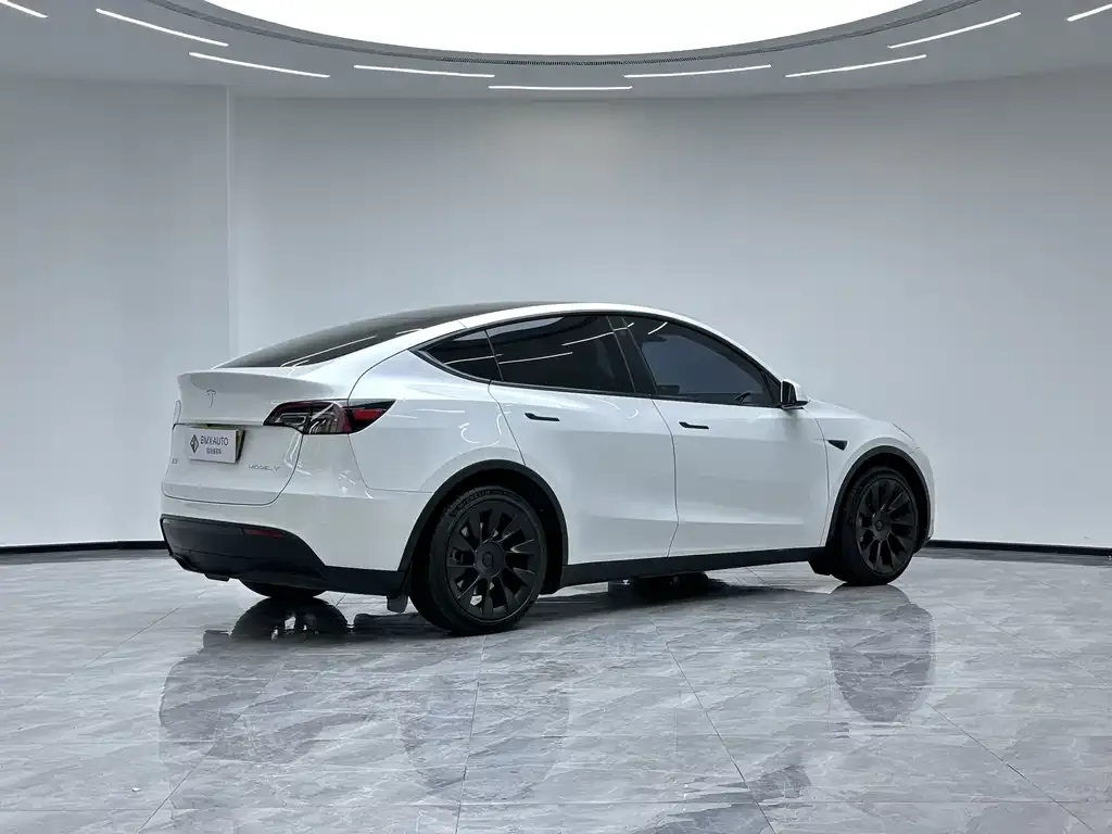 Tesla Model Y 2023 из CN, фото 5