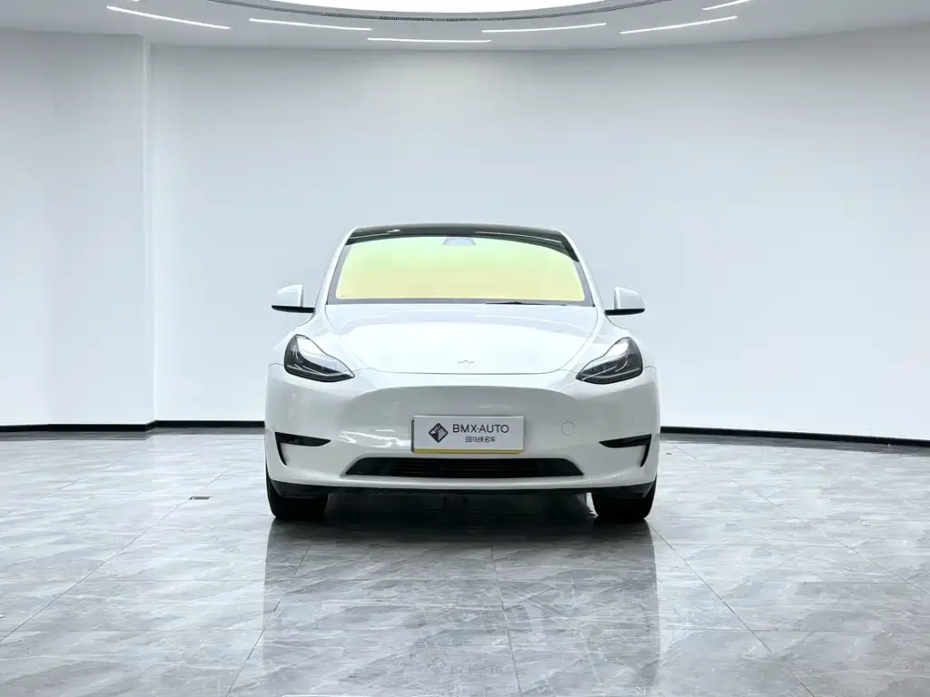 Tesla Model Y 2023 из CN, фото 6