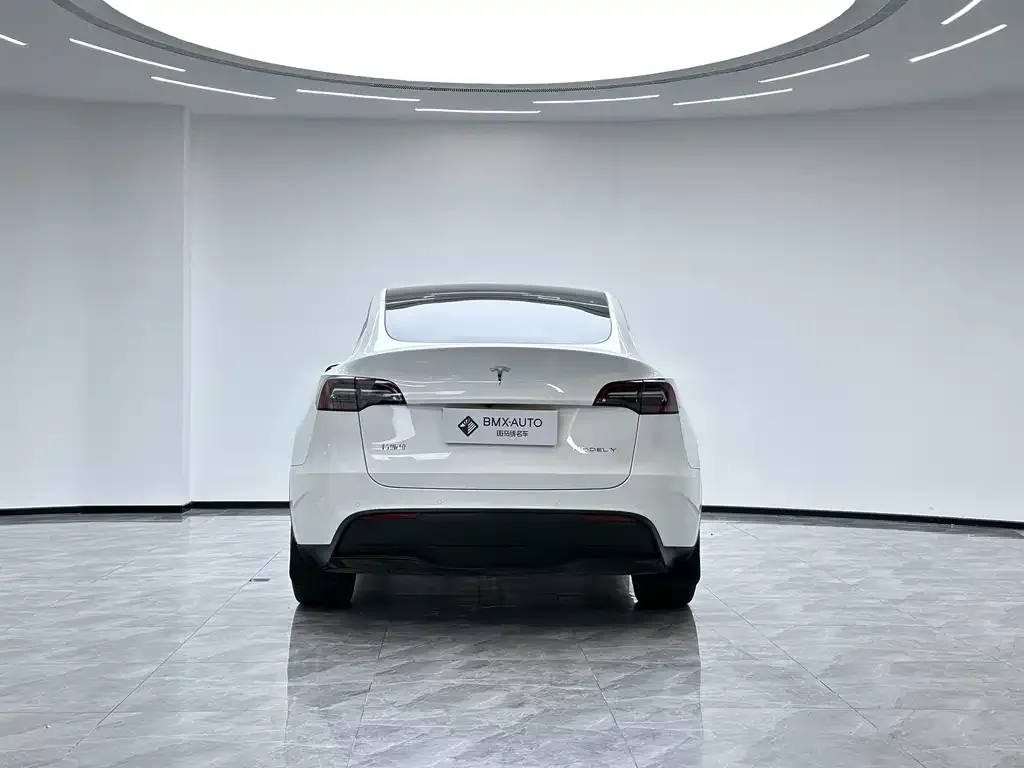 Tesla Model Y 2023 из CN, фото 2