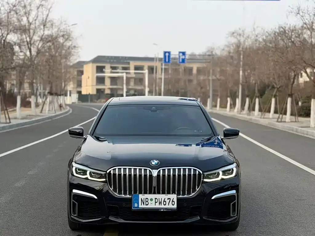 BMW 7 Series 2021 из CN, фото 6