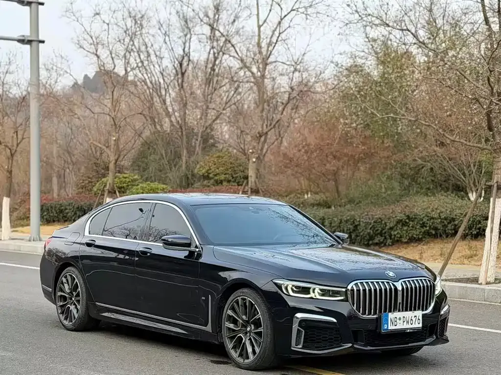 BMW 7 Series 2021 из CN, фото 10