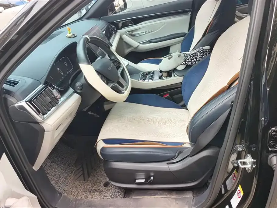 BYD PLUS New Energy — фото 10