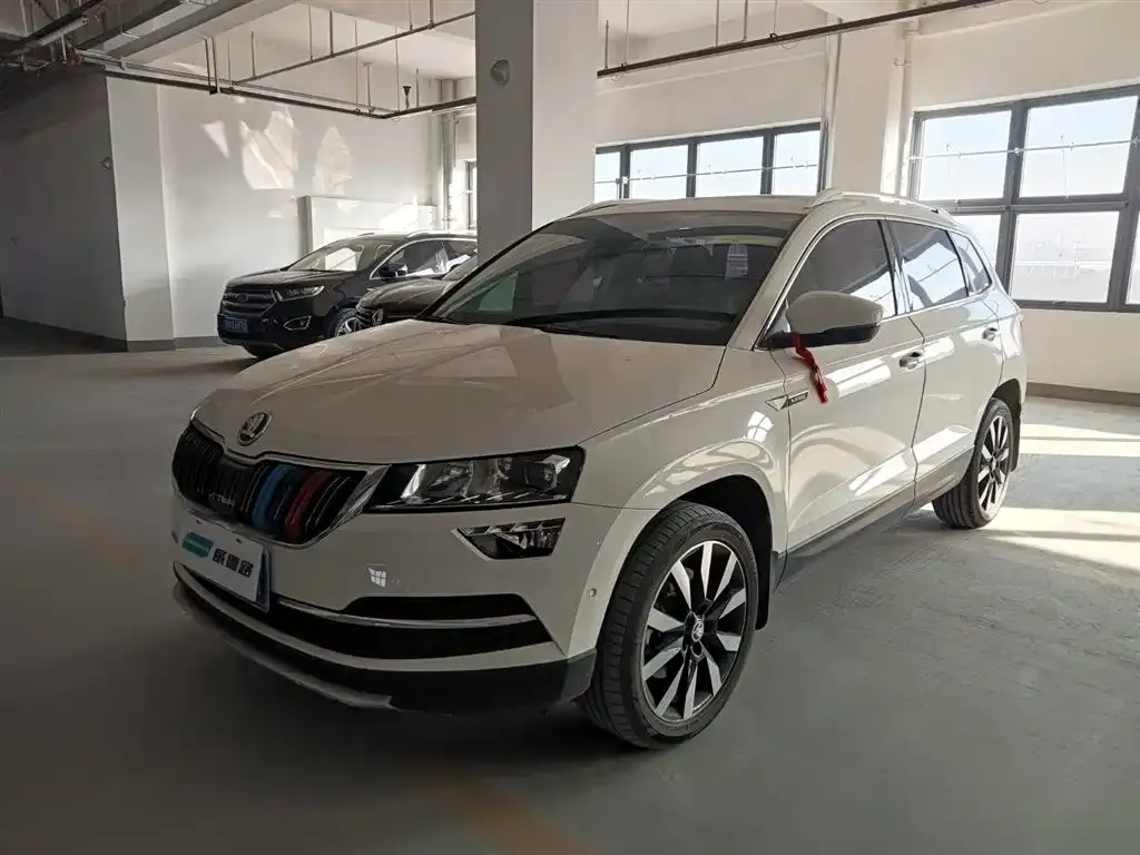 Skoda Karoq 2021 из CN, фото 1