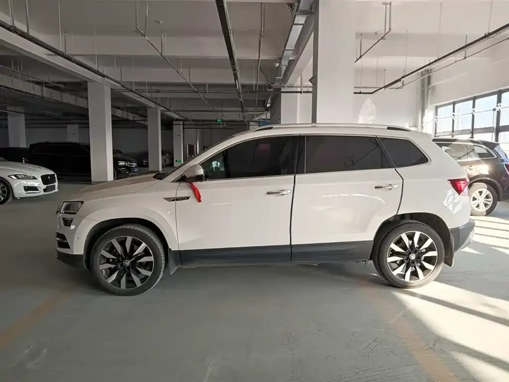 Skoda Karoq 2021 из CN, фото 3