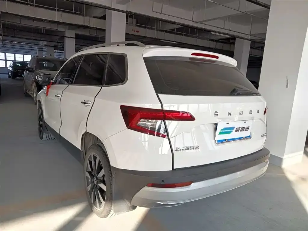 Skoda Karoq 2021 из CN, фото 5