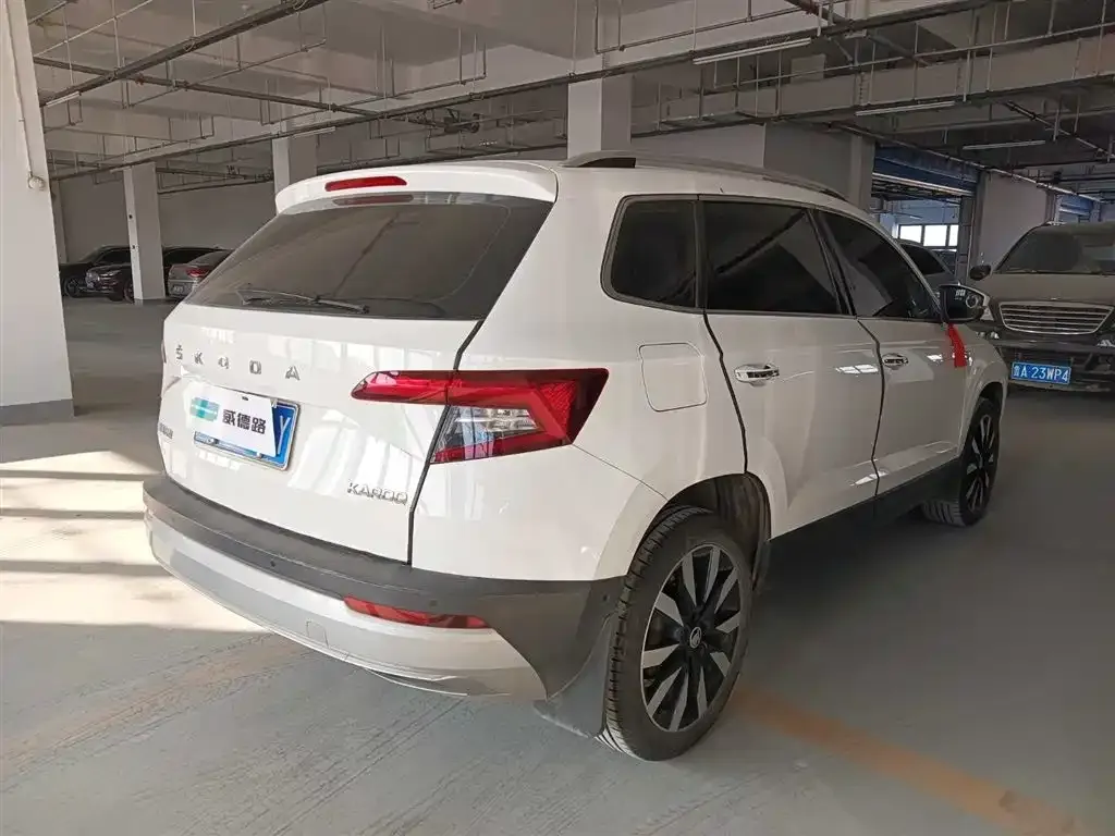 Skoda Karoq 2021 из CN, фото 10