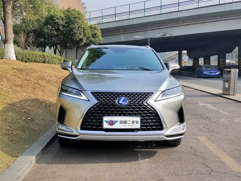 Lexus RX — фото 9