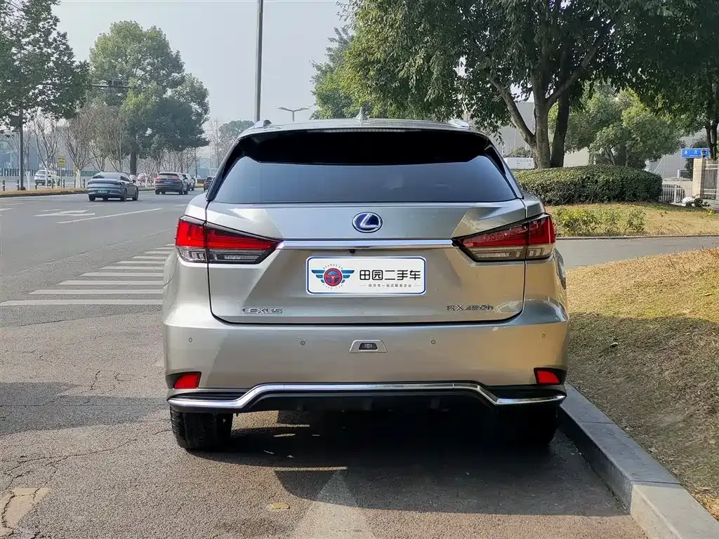 Lexus RX — фото 10