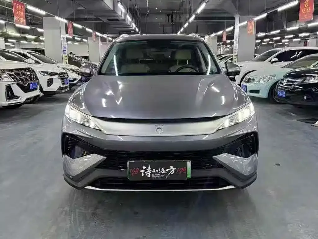 BYD Pro New Energy 2025 из CN, фото 7