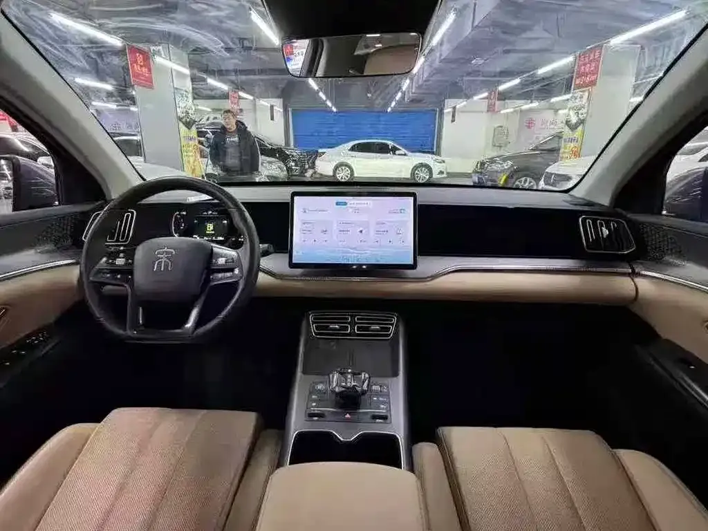 BYD Pro New Energy 2025 из CN, фото 6