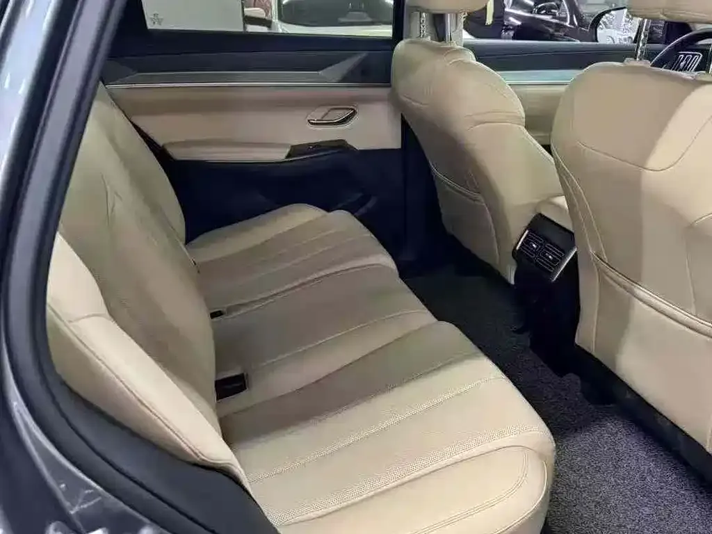 BYD Pro New Energy 2025 из CN, фото 2