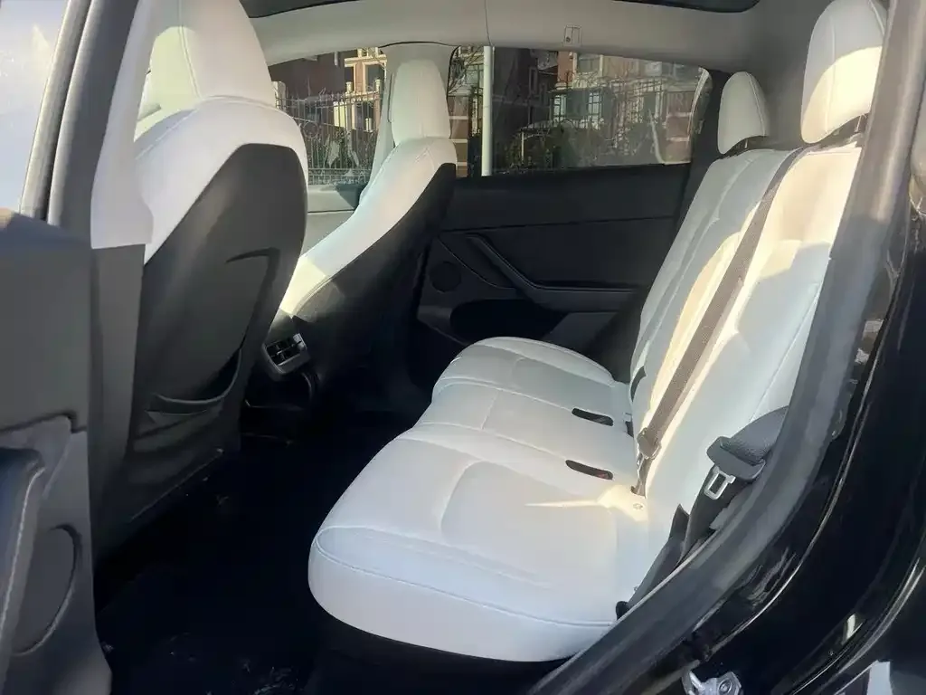 Tesla Model Y 2023 из CN, фото 2