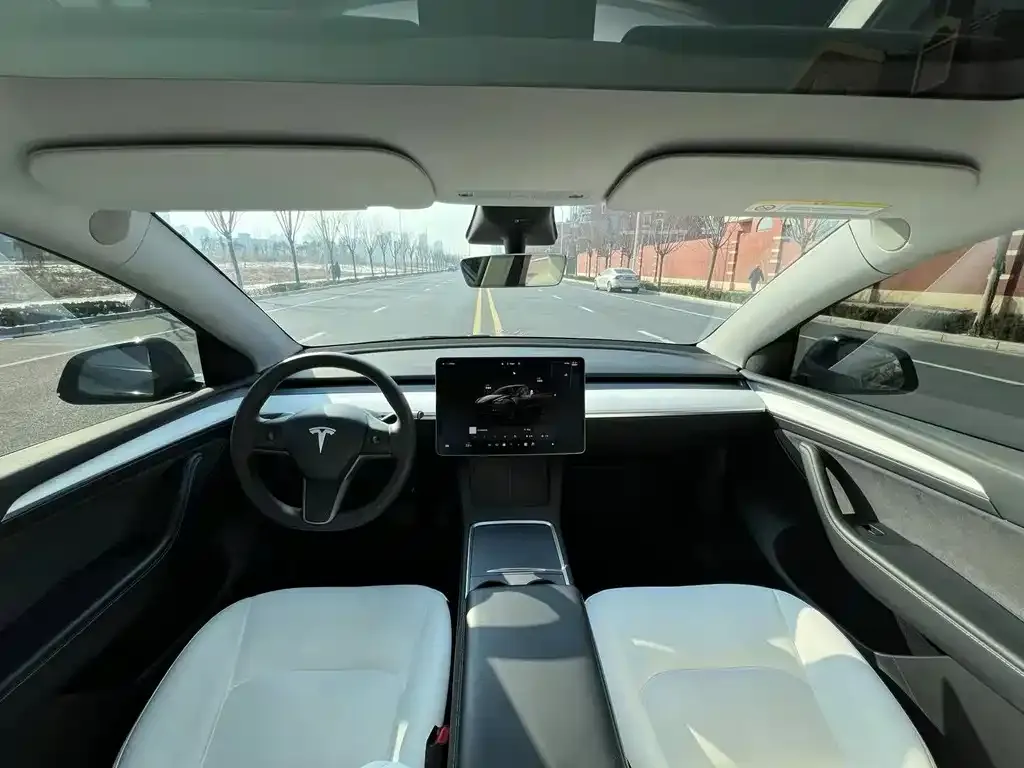 Tesla Model Y 2023 из CN, фото 6
