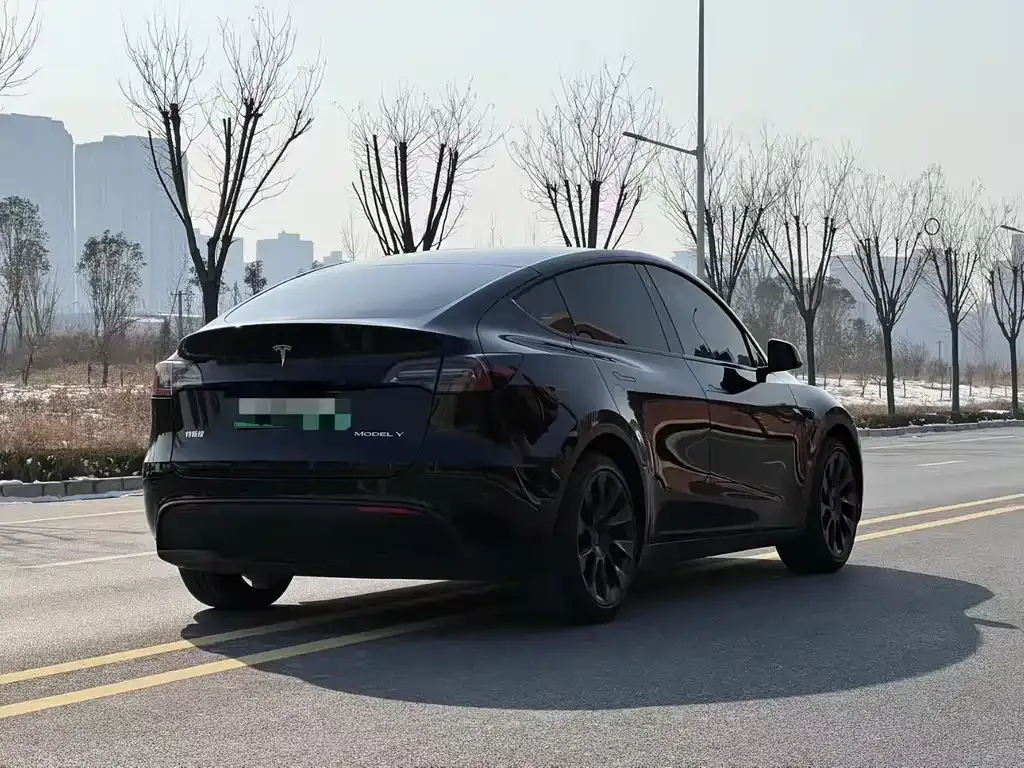 Tesla Model Y 2023 из CN, фото 5